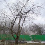 фото объявления