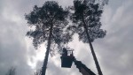 фото объявления