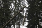 фото объявления