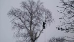 фото объявления