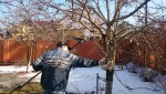 фото объявления