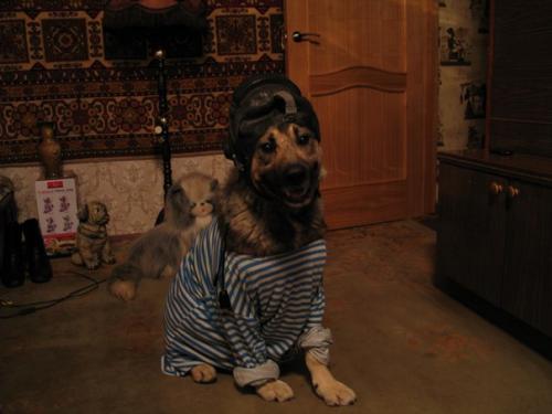 post-20777-0-75702100-1359452523_thumb.j