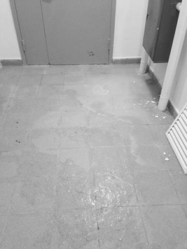 post-27935-0-67489700-1421422274_thumb.j