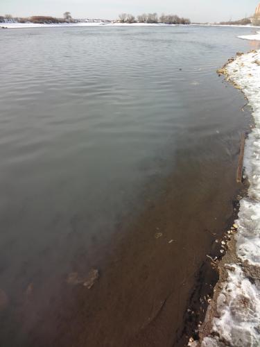 post-16765-0-46677800-1422874824_thumb.j