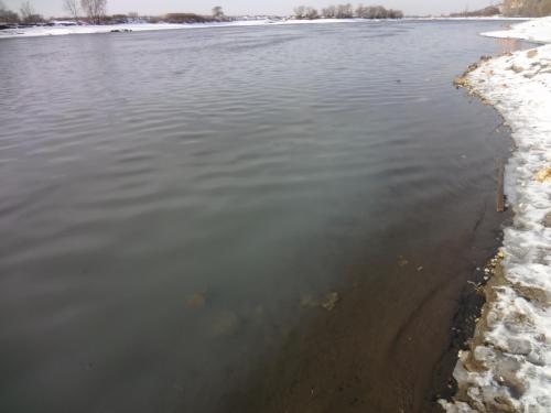 post-16765-0-62999000-1422874794_thumb.j