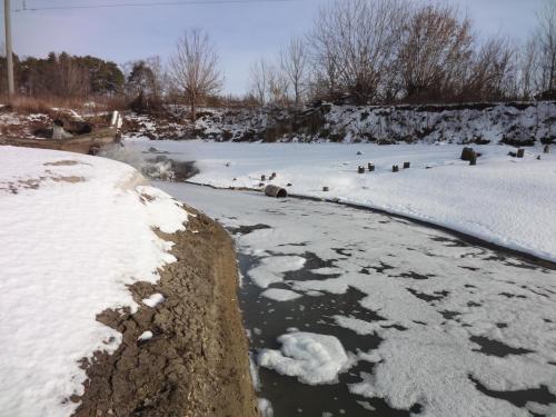 post-16765-0-68327600-1422874732_thumb.j