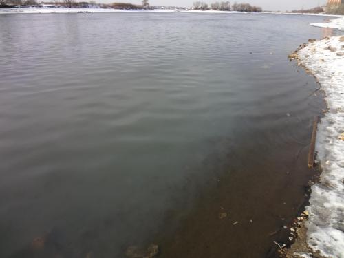 post-16765-0-83349500-1422874758_thumb.j