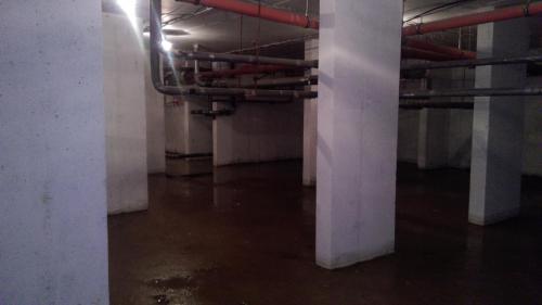 post-2286-0-96223400-1423201363_thumb.jp