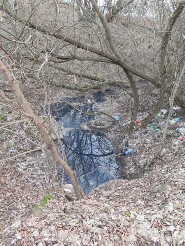 post-2547-0-25300600-1423042349_thumb.jp