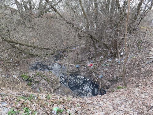 post-2547-0-48210300-1423042354_thumb.jp