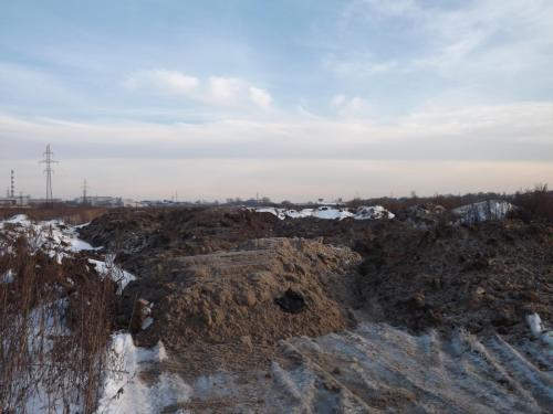 post-37694-0-26273400-1422900353_thumb.j