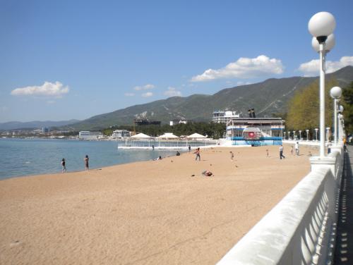 post-20972-0-89754200-1395432733_thumb.j