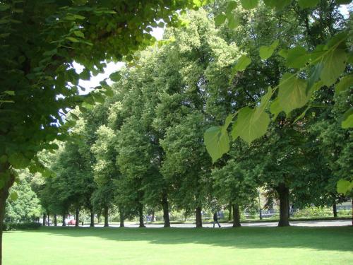 post-18840-0-11610100-1366963388_thumb.j