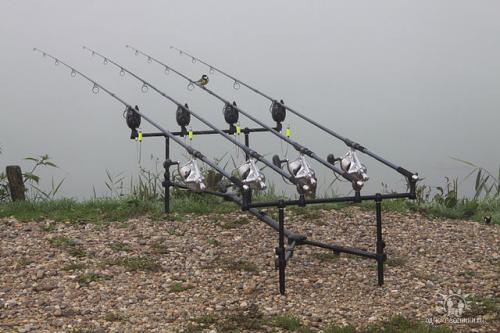 post-24445-0-85255500-1365606236_thumb.j