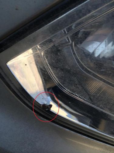 post-24583-0-85016800-1398343477_thumb.j