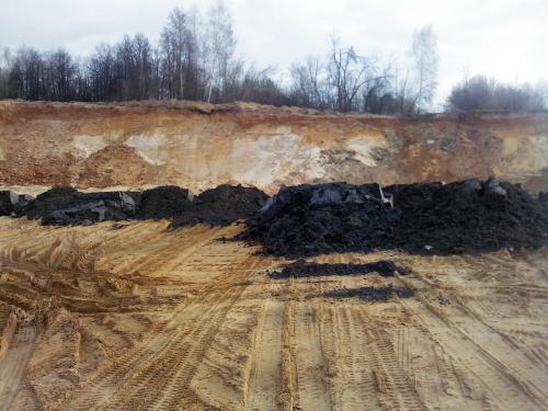 post-16765-0-08408500-1429937921_thumb.j