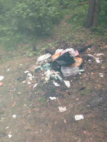 post-22648-0-17761400-1369028773_thumb.j