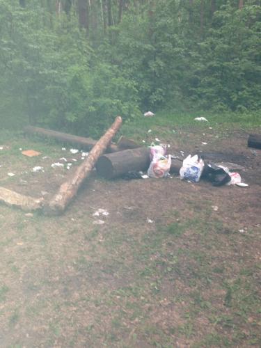 post-22648-0-72875600-1369028759_thumb.j