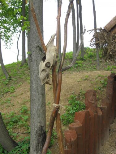 post-7137-0-02627900-1399891217_thumb.jp