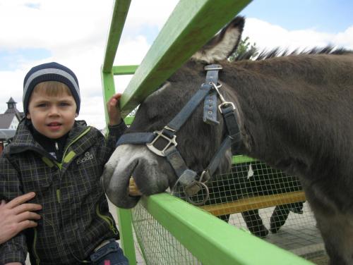 post-7137-0-07647400-1399890959_thumb.jp