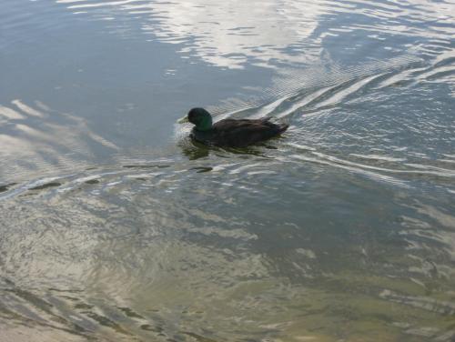 post-7137-0-21380900-1399892068_thumb.jp