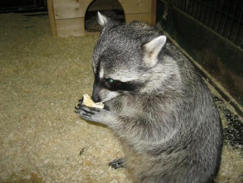 post-7137-0-27321700-1399891096_thumb.jp