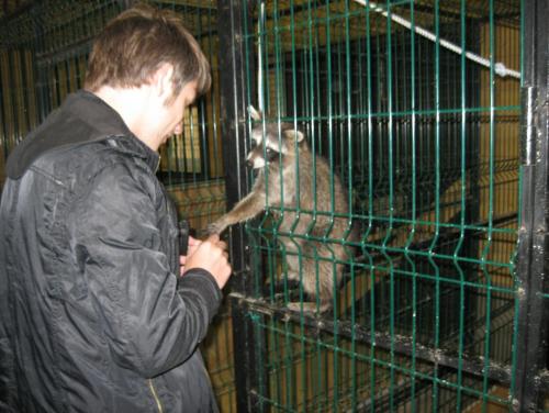 post-7137-0-40474400-1399890620_thumb.jp