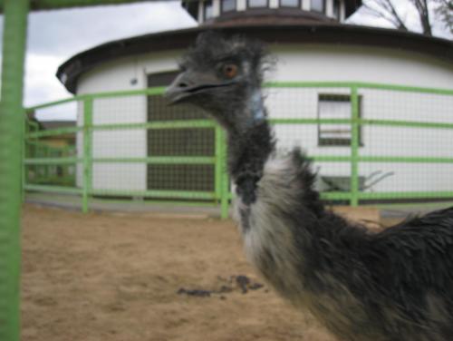 post-7137-0-54750400-1399890978_thumb.jp