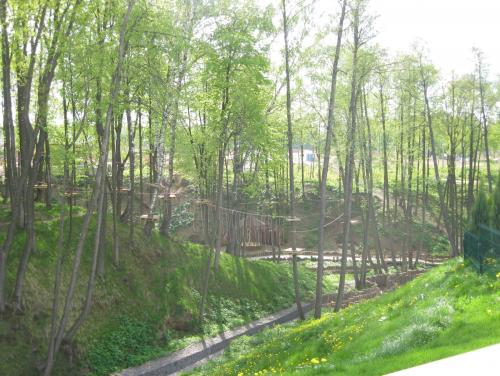 post-7137-0-57319600-1399891852_thumb.jp