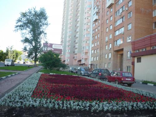 post-12073-0-87205800-1372337196_thumb.j