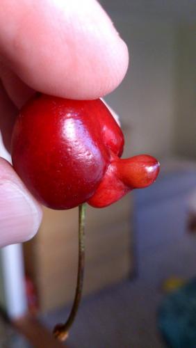 post-11850-0-92892600-1403333355_thumb.j