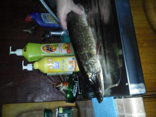 post-38518-0-11098000-1435158161_thumb.j