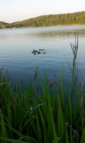 post-38518-0-47961700-1433782216_thumb.j