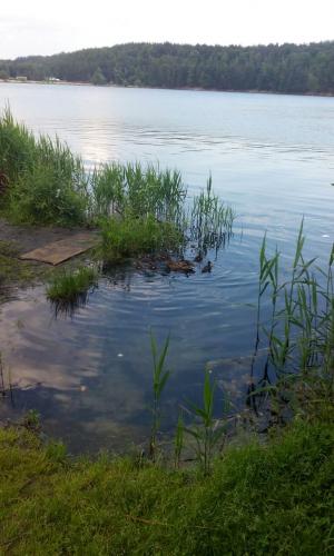 post-38518-0-58446900-1433782192_thumb.j