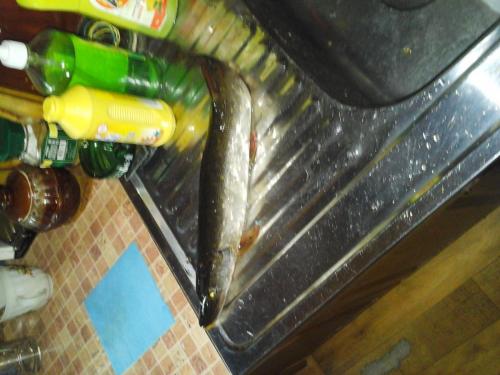 post-38518-0-72949800-1435158205_thumb.j