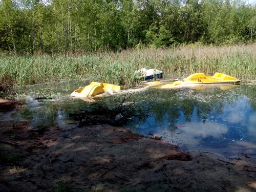 post-5518-0-89127200-1434009892_thumb.jp