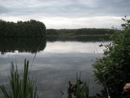 post-1916-0-51481400-1405461374_thumb.jp