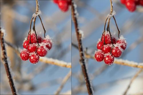 post-10019-0-62697200-1437629559_thumb.j