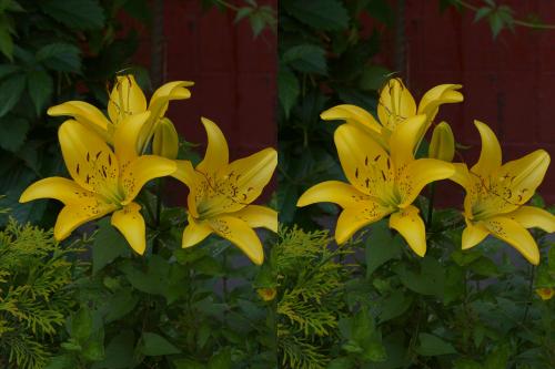 post-2362-0-00172600-1437249098_thumb.jp