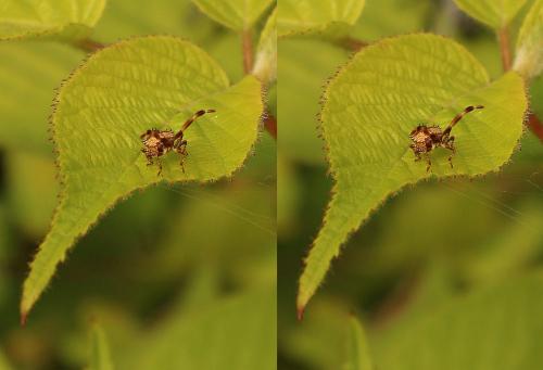 post-2362-0-21991000-1437249123_thumb.jp