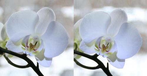 post-2362-0-28696700-1438276857_thumb.jp