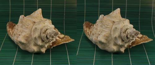 post-2362-0-59470700-1437422336_thumb.jp