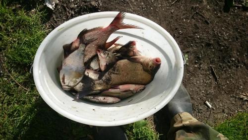 post-39908-0-58957700-1436074331_thumb.j