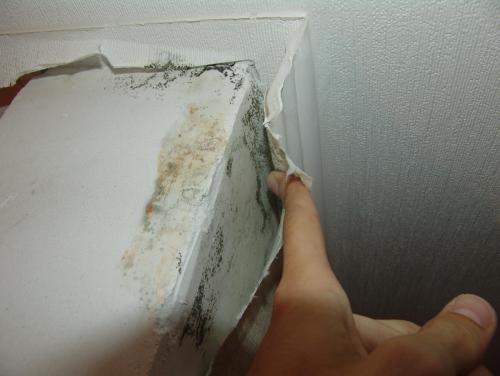 post-21208-0-34457900-1408129143_thumb.j