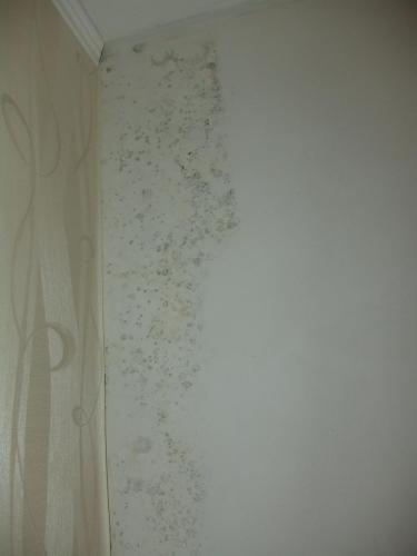 post-21208-0-99076600-1408129858_thumb.j