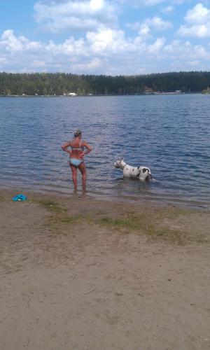 post-7137-0-12907500-1407327790_thumb.jp