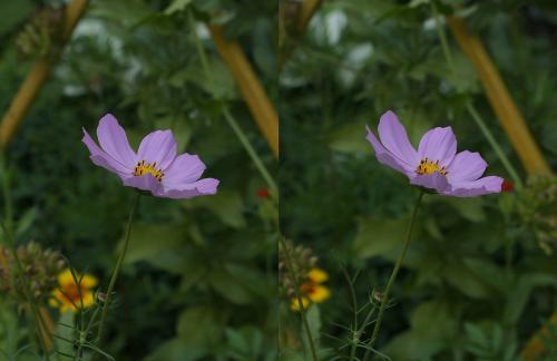 post-2362-0-10515400-1439574430_thumb.jp