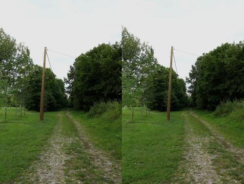 post-2362-0-11497800-1439574345_thumb.jp