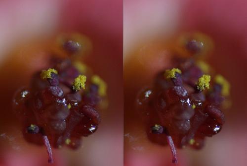 post-2362-0-25822200-1439225944_thumb.jp