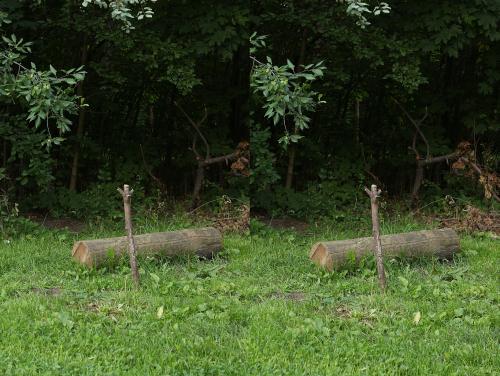 post-2362-0-99461900-1439574189_thumb.jp